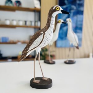 Barry Hellmuth - Bush Stone-Curlew