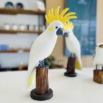 Barry Hellmuth - Sulphur Crested Cockatoo